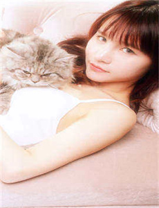 百年的新娘 电视剧